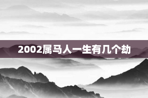 2002属马人一生有几个劫