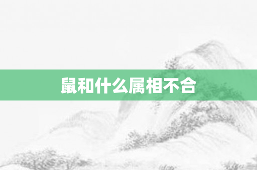 鼠和什么属相不合