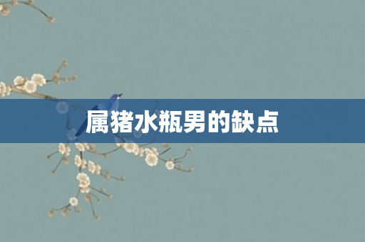 属猪水瓶男的缺点