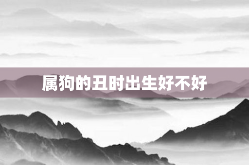 属狗的丑时出生好不好