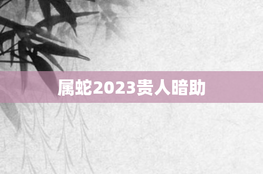 属蛇2023贵人暗助