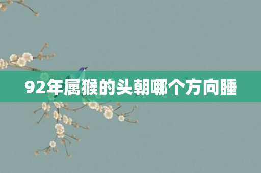 92年属猴的头朝哪个方向睡
