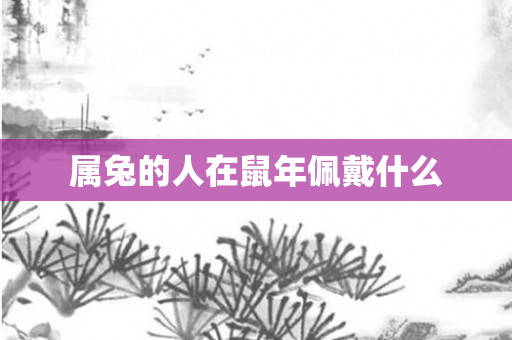 属兔的人在鼠年佩戴什么