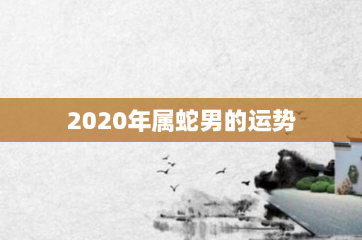 2020年属蛇男的运势