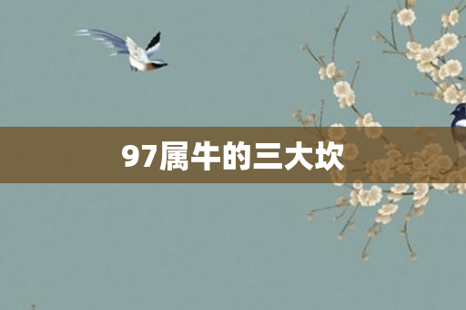 97属牛的三大坎