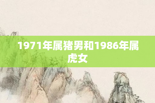 1971年属猪男和1986年属虎女