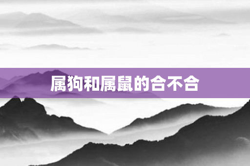 属狗和属鼠的合不合