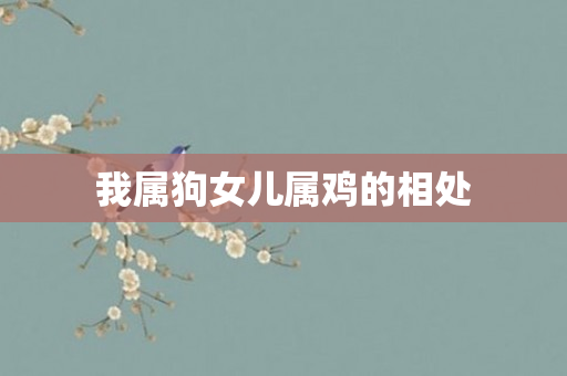 我属狗女儿属鸡的相处