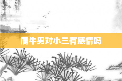 属牛男对小三有感情吗