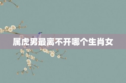 属虎男最离不开哪个生肖女