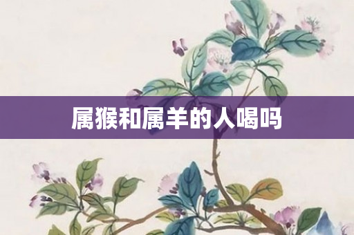 属猴和属羊的人喝吗
