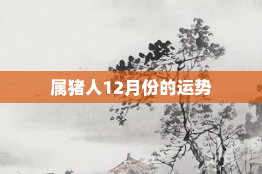 属猪人12月份的运势