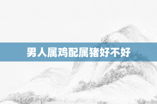 男人属鸡配属猪好不好