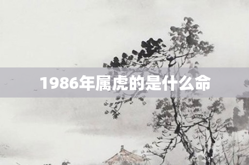 1986年属虎的是什么命