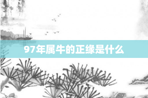 97年属牛的正缘是什么