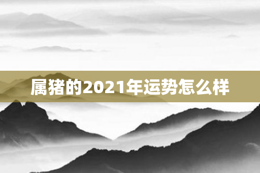 属猪的2021年运势怎么样