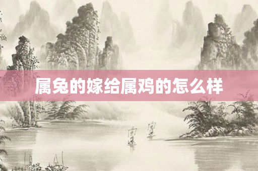 属兔的嫁给属鸡的怎么样