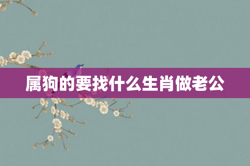 属狗的要找什么生肖做老公