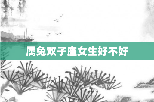 属兔双子座女生好不好