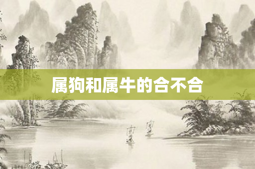 属狗和属牛的合不合