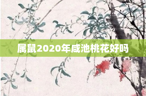属鼠2020年咸池桃花好吗