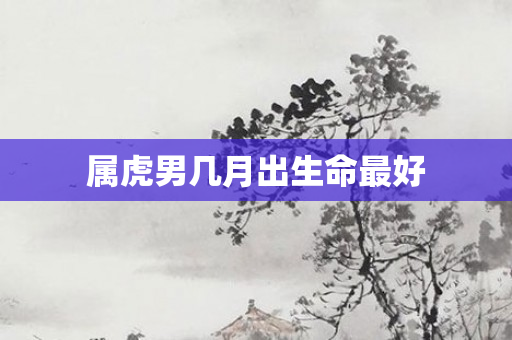 属虎男几月出生命更好