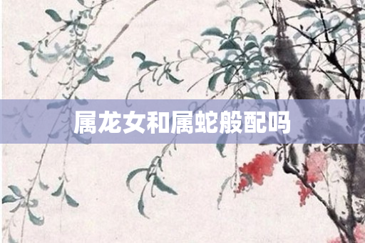 属龙女和属蛇般配吗