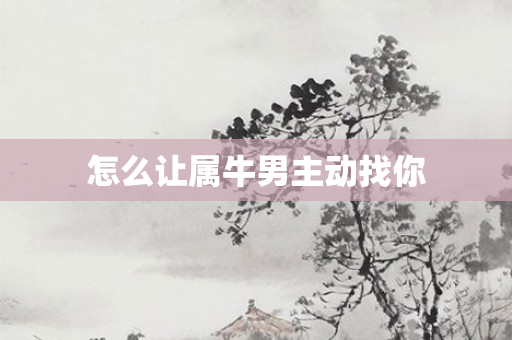怎么让属牛男主动找你