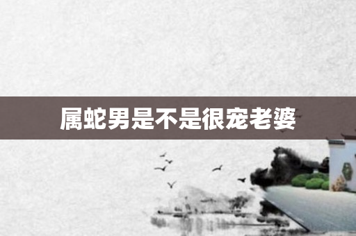 属蛇男是不是很宠老婆