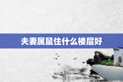 夫妻属鼠住什么楼层好