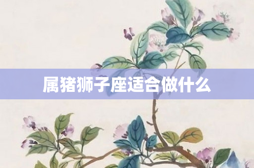 属猪狮子座适合做什么