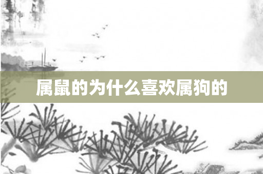 属鼠的为什么喜欢属狗的