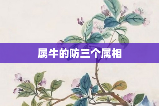 属牛的防三个属相