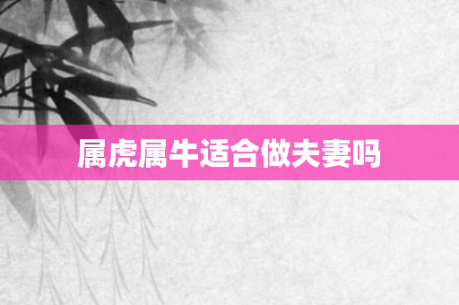 属虎属牛适合做夫妻吗