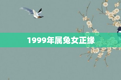1999年属兔女正缘