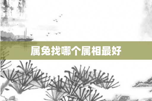 属兔找哪个属相更好