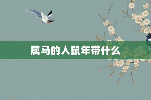 属马的人鼠年带什么