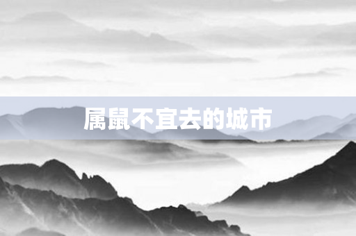 属鼠不宜去的城市