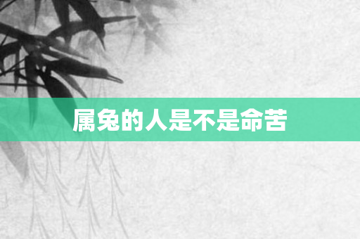 属兔的人是不是命苦