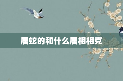 属蛇的和什么属相相克