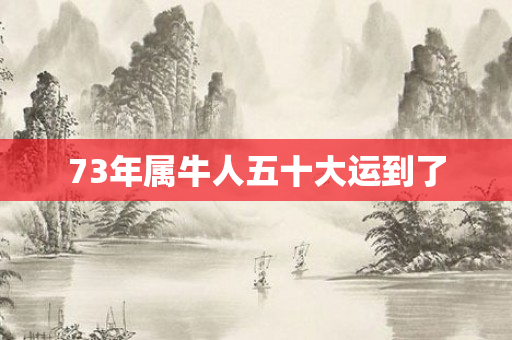 73年属牛人五十大运到了