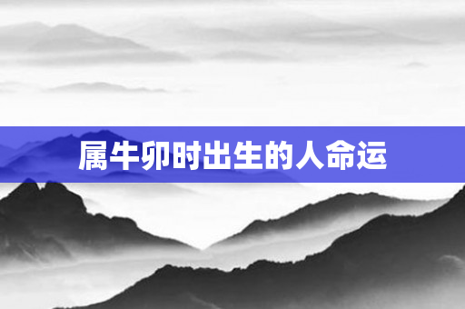 属牛卯时出生的人命运