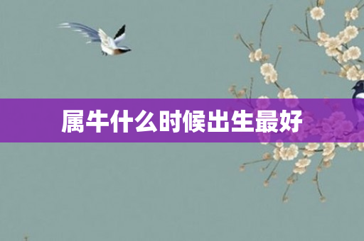 属牛什么时候出生更好