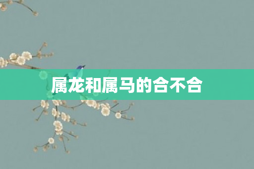 属龙和属马的合不合