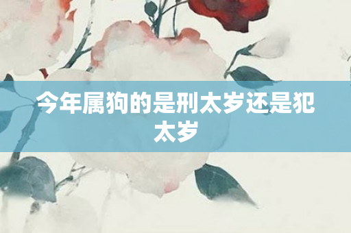 今年属狗的是刑太岁还是犯太岁