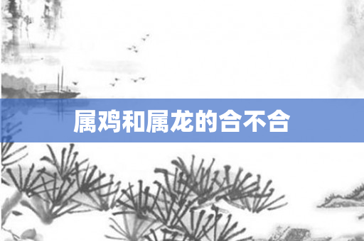 属鸡和属龙的合不合