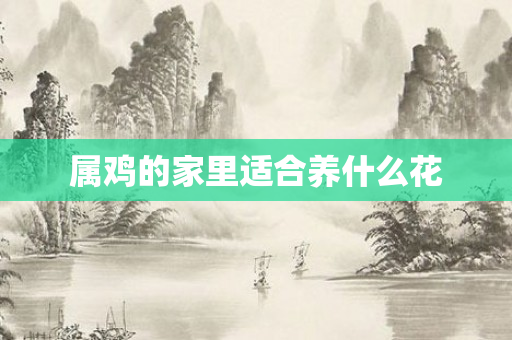 属鸡的家里适合养什么花
