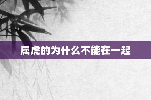 属虎的为什么不能在一起