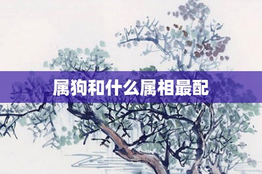 属狗和什么属相最配