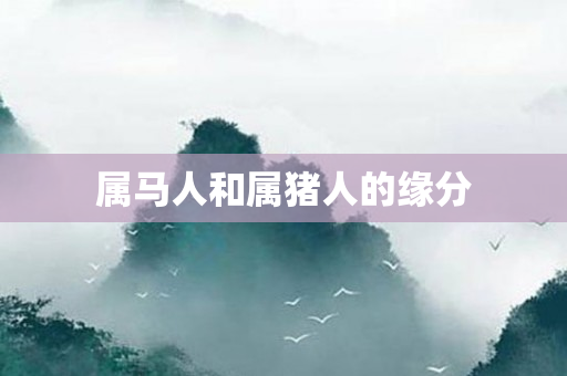 属马人和属猪人的缘分